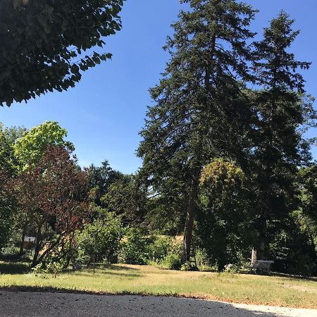 Charmant F1 Avec Terrasse Et Vue Sur Jardin Arbore - Fraicheur Naturelle Du Rez De Jardin - Parking ベルリーヴ・シュル・アリエ エクステリア 写真