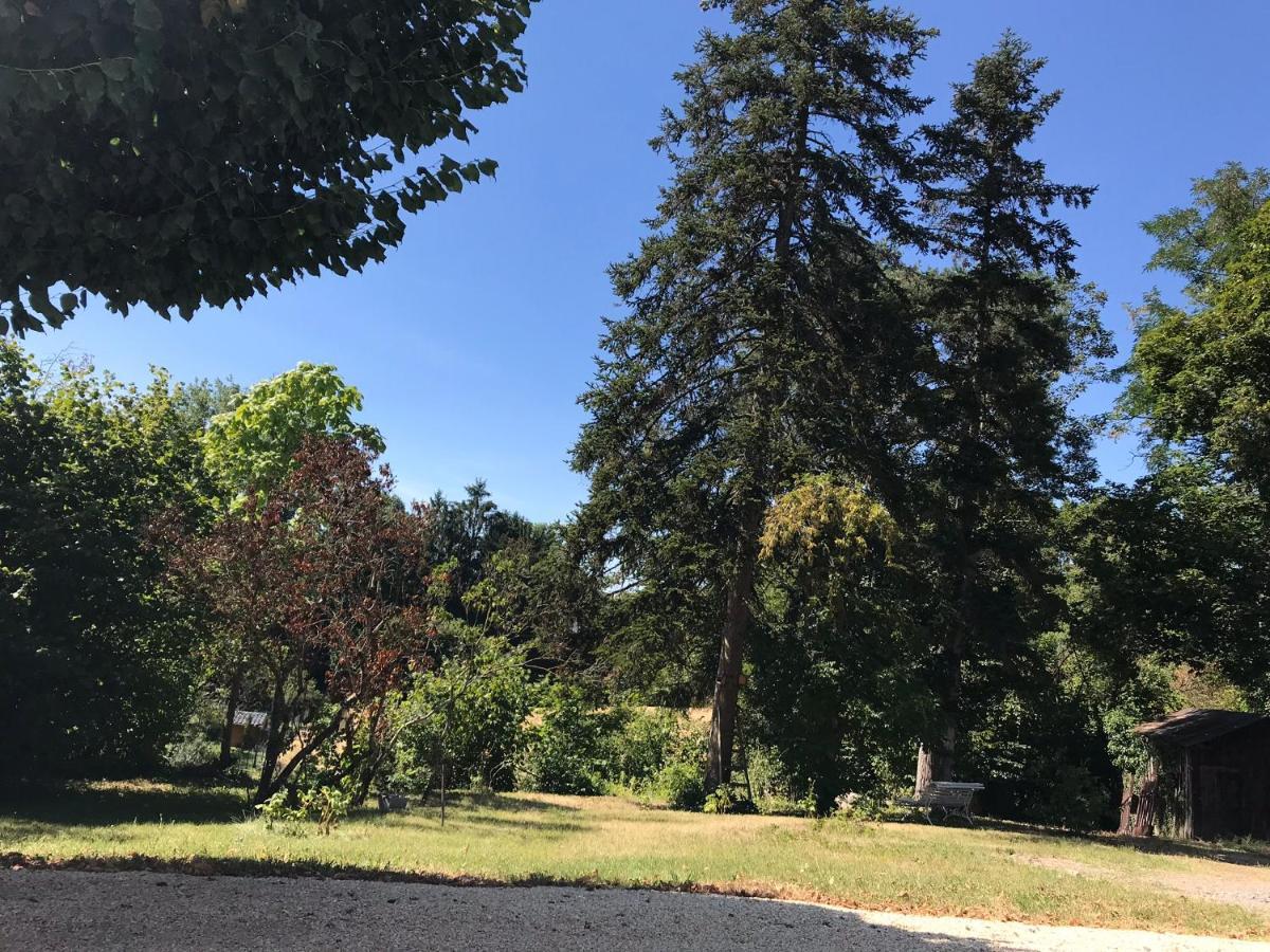 Charmant F1 Avec Terrasse Et Vue Sur Jardin Arbore - Fraicheur Naturelle Du Rez De Jardin - Parking ベルリーヴ・シュル・アリエ エクステリア 写真